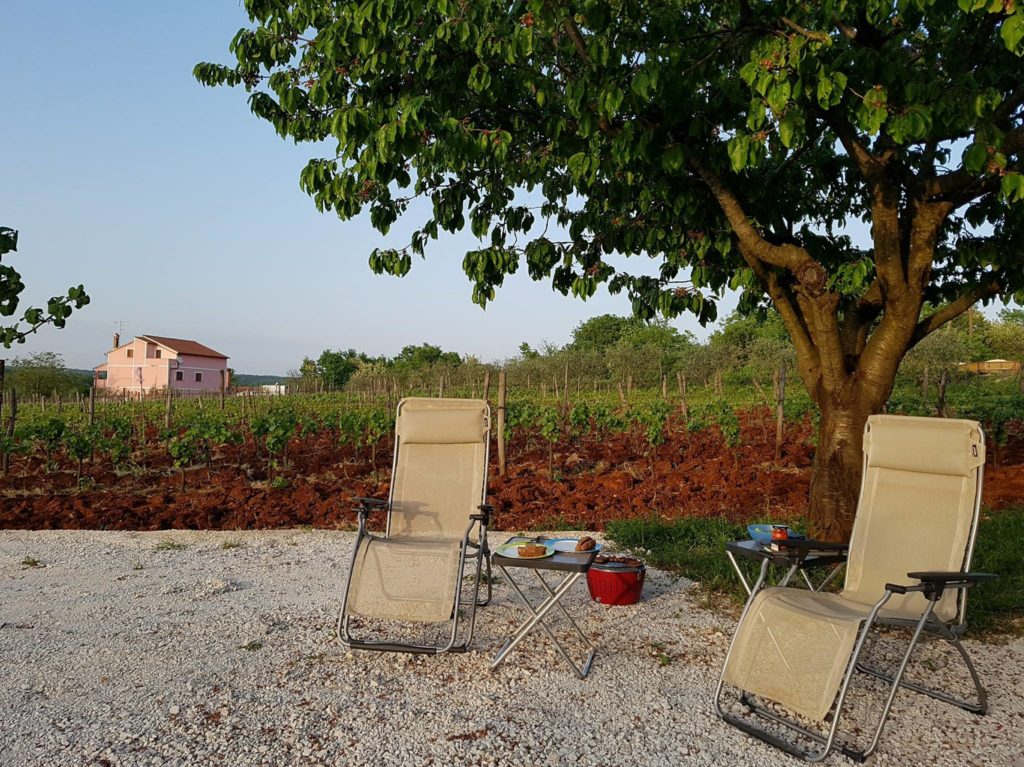Fijne kleine campings in het binnenland van Kroatië - Uitzicht op de wijngaard vanaf onze kampeerplek op Camp Terre