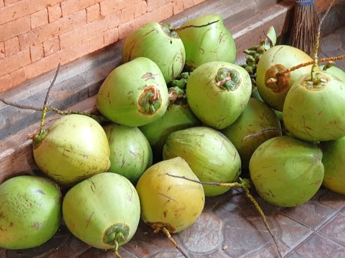 Bali cadeau kokosnoten