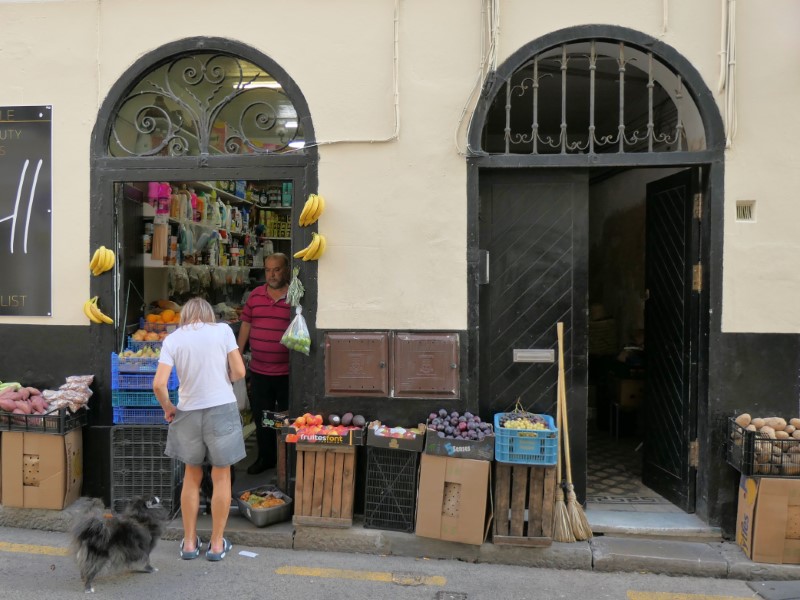Groente- en fruitwinkeltje in achterafstraatje