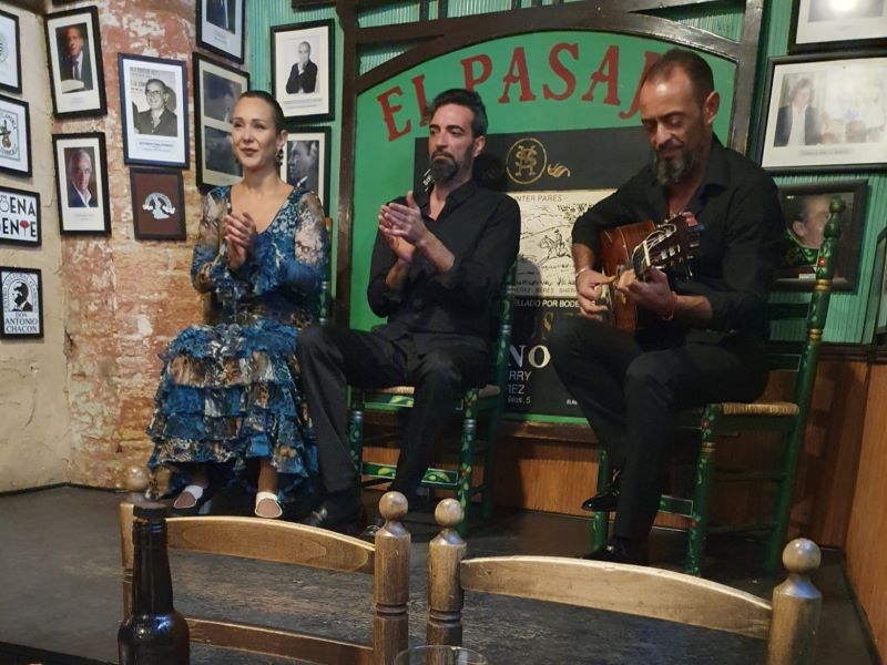 Flamencodanseres, zanger en gitarist die de show verzorgen