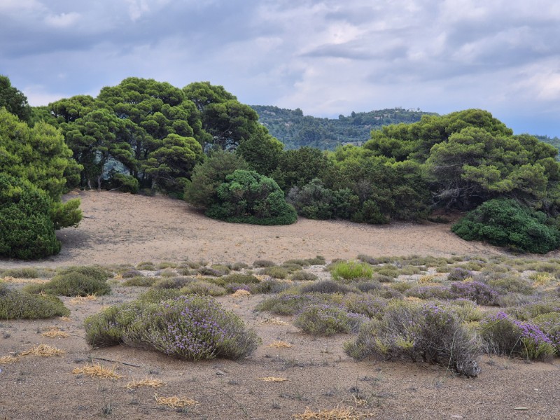 Achter het strand bij camping Tholo en camping Thelia ligt een prachtig natuurgebied