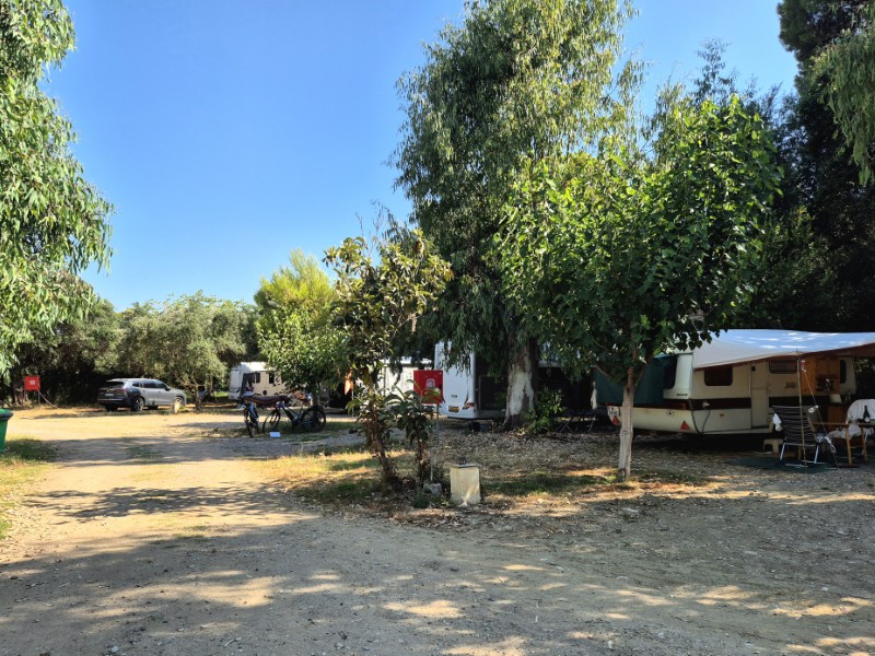 camping Tholo